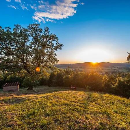 Panorama-ferien-toscana Your Cozy And Fully Equipped Vacation アパート