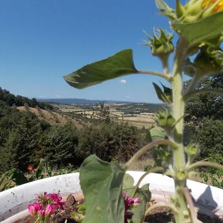 Panorama-ferien-toscana Your Cozy And Fully Equipped Vacation アパート